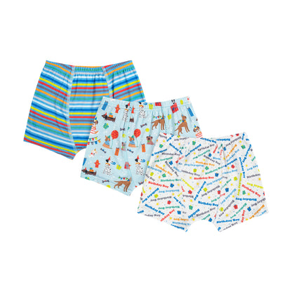 Boys Boxer Briefs - Pawty Dogs